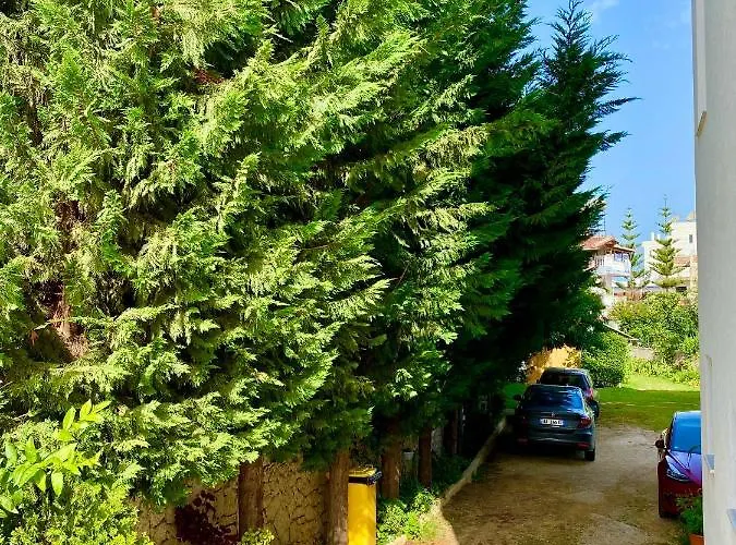 Family Haruni * Ksamil