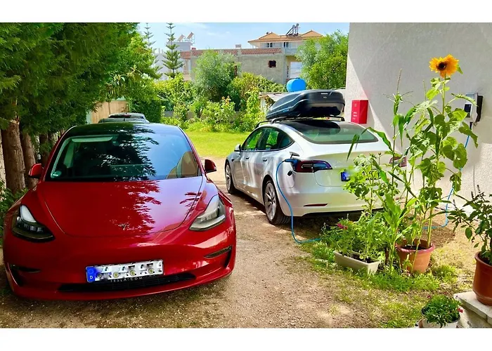 Family Haruni Ksamil